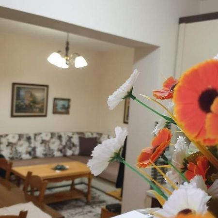 Valentina'S Apartment Tiran Dış mekan fotoğraf
